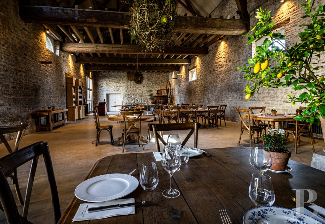 A chateau affiliated with Burgundy's greatest vineyards and permaculture to the south of Beaune - photo  n°46